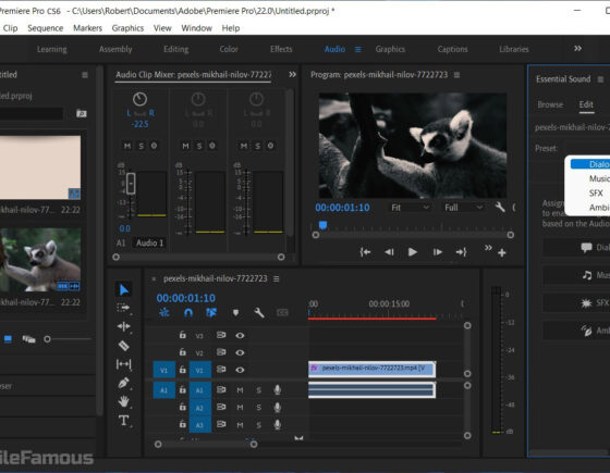 Adobe Premiere Pro CS6 Screenshot