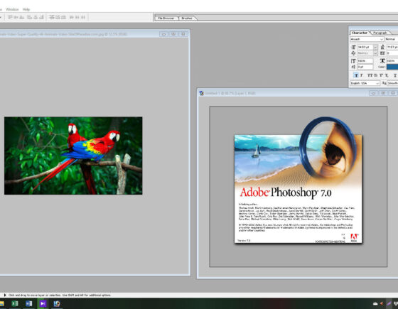 Adobe Photoshop 7.0