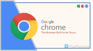 Google Chrome Browser